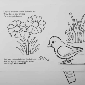 God Feeds the Birds