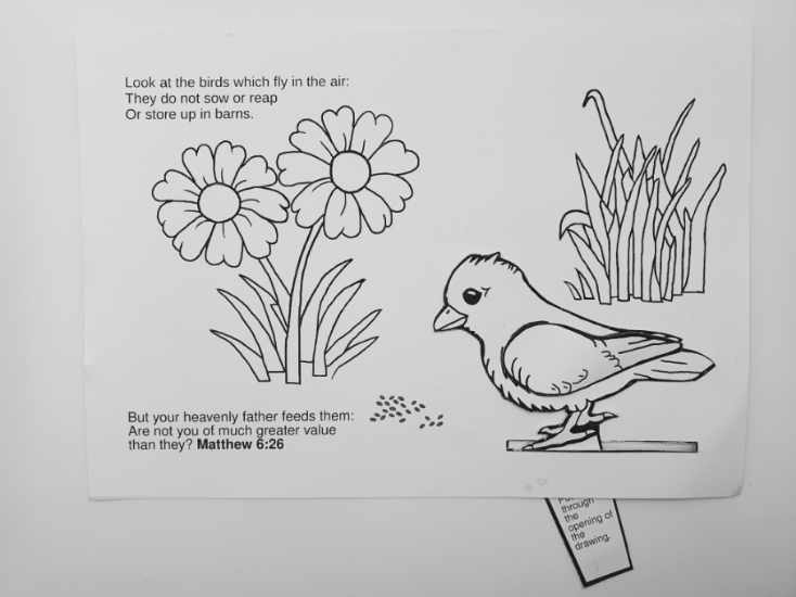 God Feeds the Birds